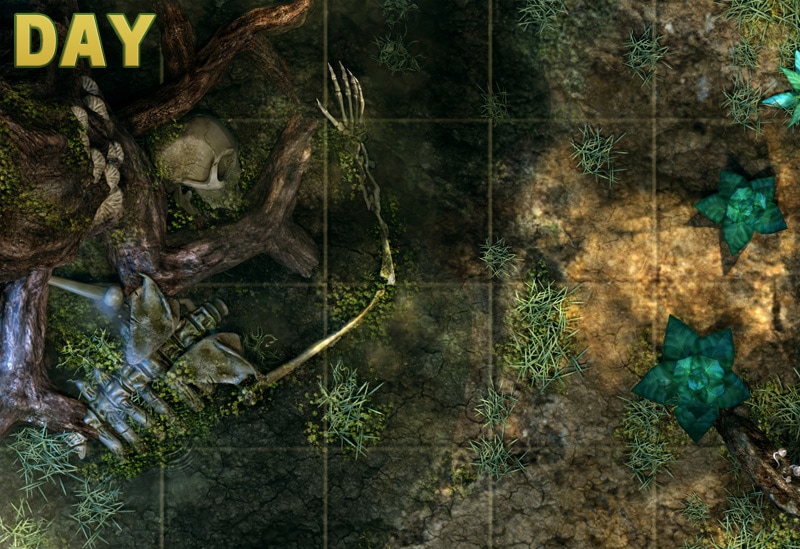 forest_of_fallen_giants_battlemap_day.jpg