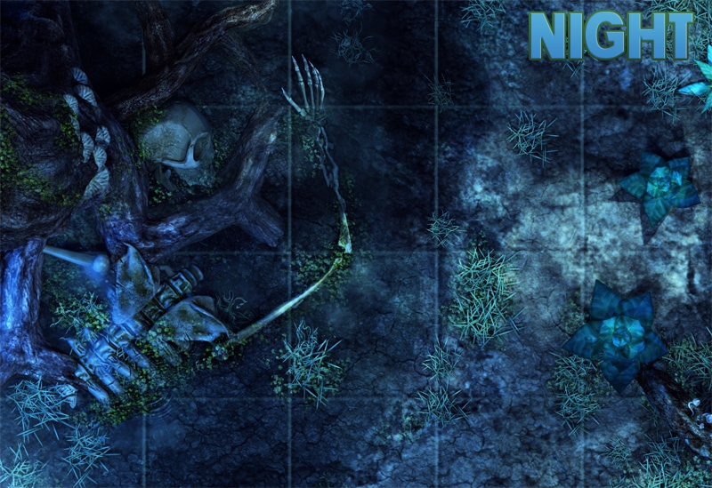 forest_of_fallen_giants_battlemap_night.jpg